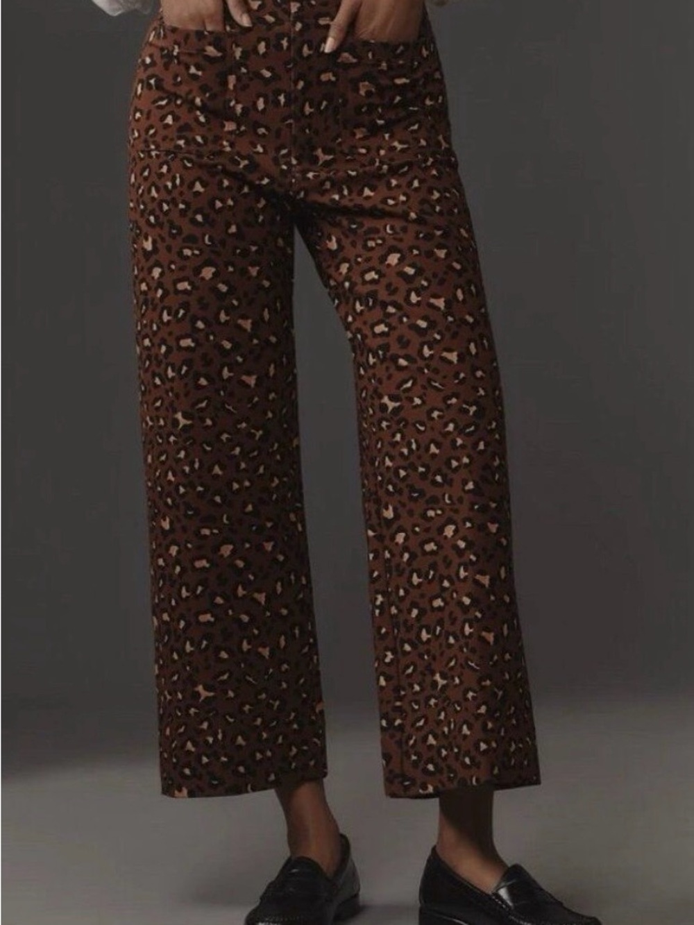 Anthropologie Maeve Colette cropped Leopard Print Wide-Leg Pants